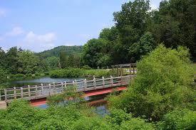 Bernheim Forest hiking